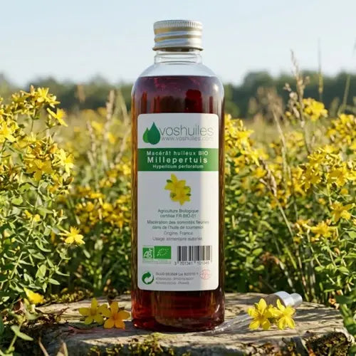 Bio Ölmazerat – Johanniskraut