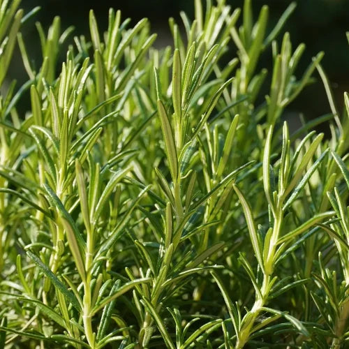 LaPeNu Organics