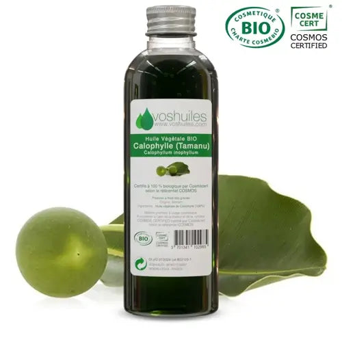 Bio Pflanzenöl - Calophyllumöl