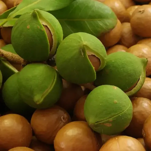 LaPeNu Organics